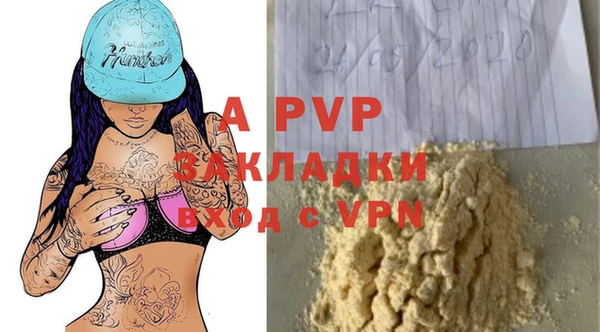 твердый Аркадак