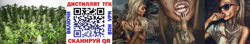 мега как войти  Фролово  ТГК концентрат 